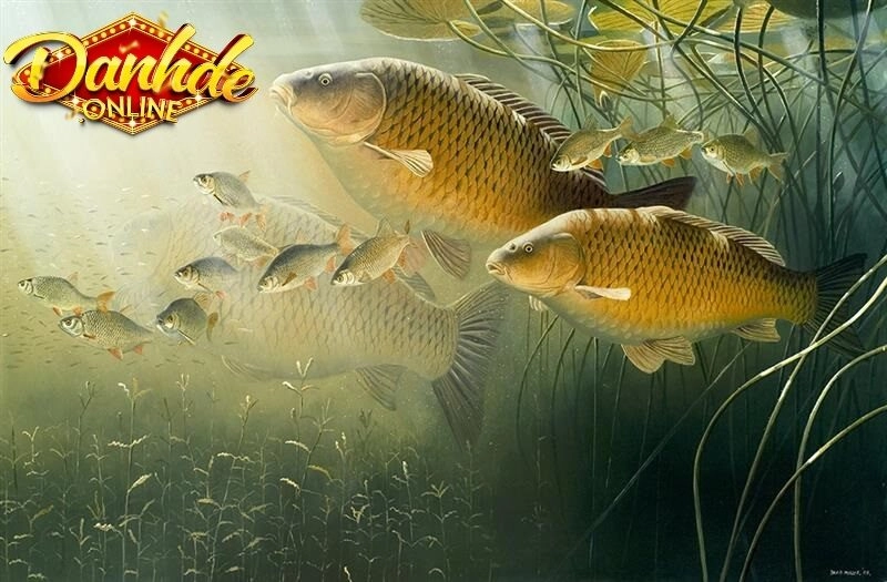 Mơ thấy cá đánh con gì? Chi tiết giấc mơ theo tâm linh