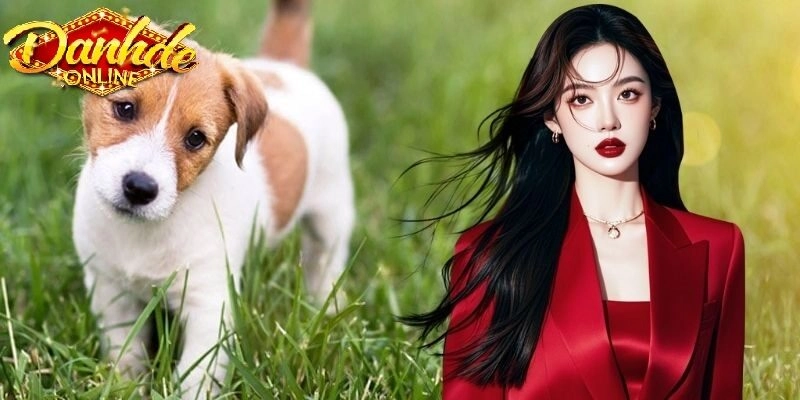 Mơ thấy chó đánh con gì? Giải mã giấc mơ và con số may mắn